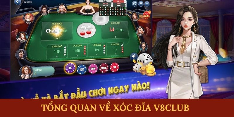 Tổng quan về xóc đĩa V8club