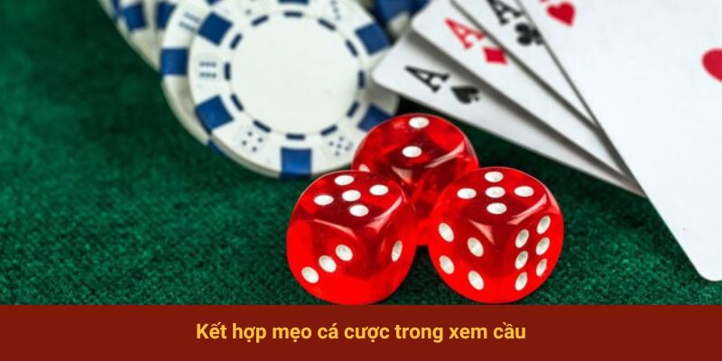Kết hợp mẹo cá cược trong xem cầu
