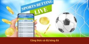 Công Thức Cá Độ Bóng Đá Đỉnh Cao Cho Người Mới Nhập Môn